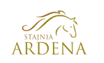 Odznaki jeździeckie - Stajnia Ardena